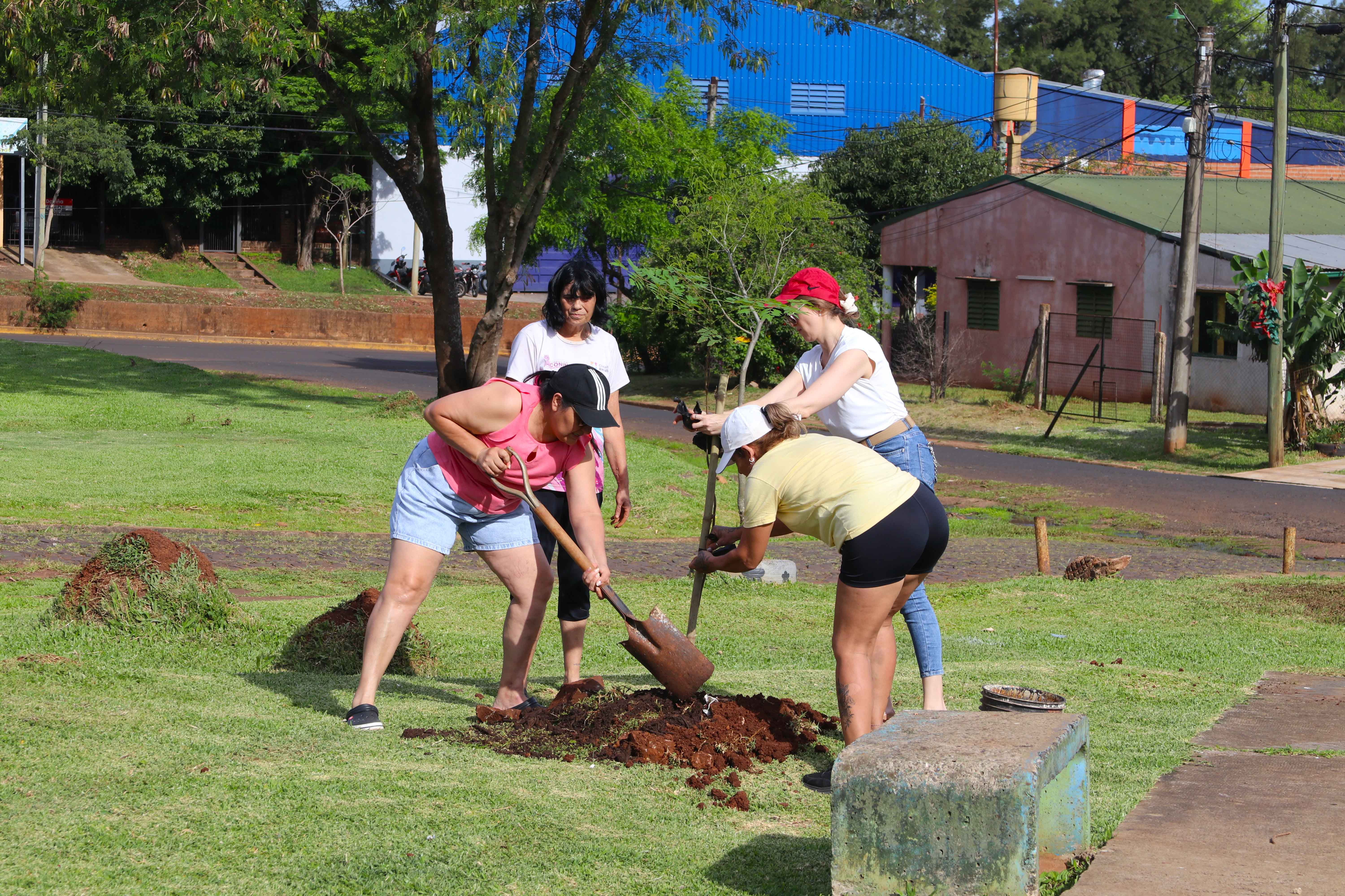<p>"Barrios Más Verdes" realizó otra exitosa plantación de árboles</p>
